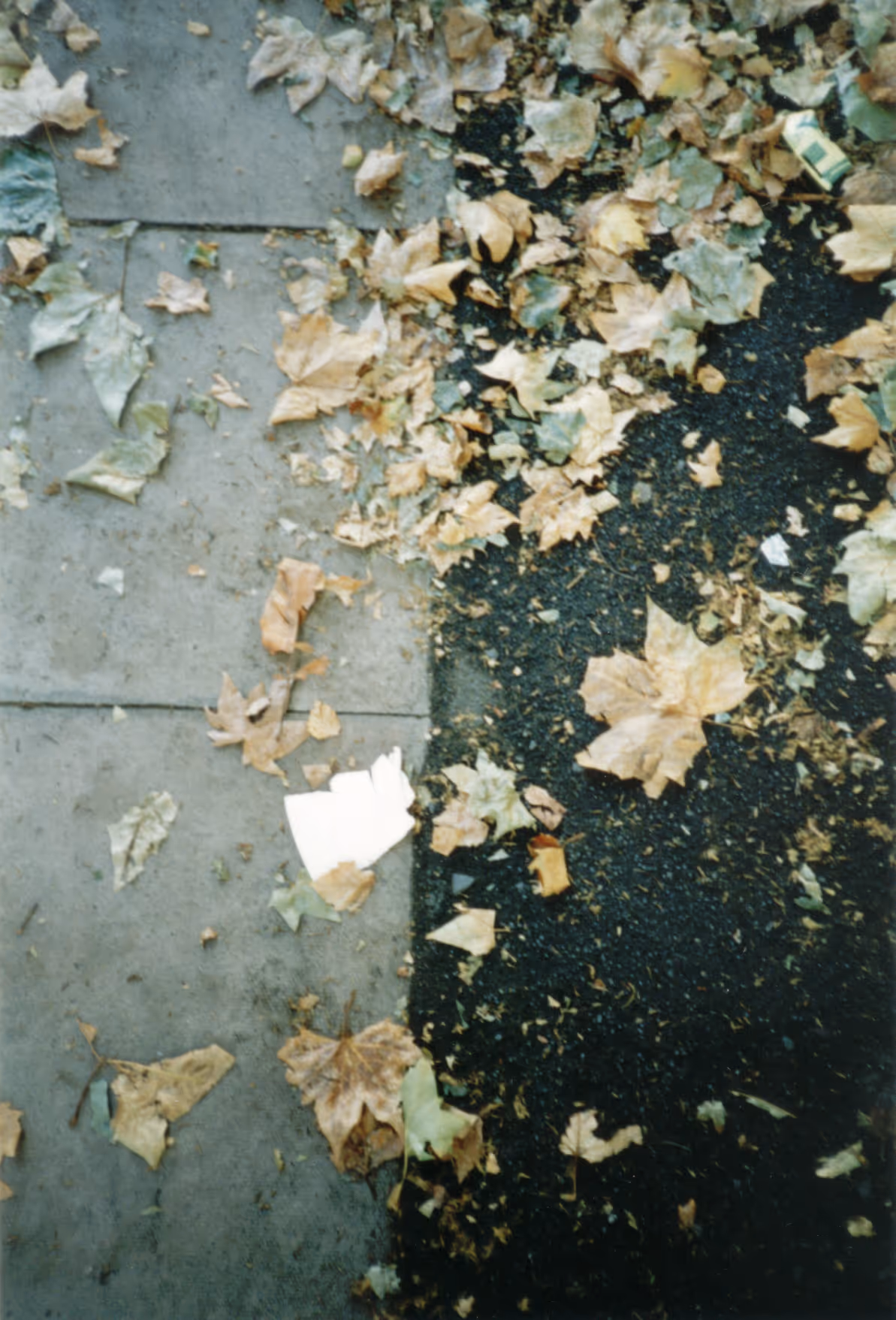 Image from Cups album