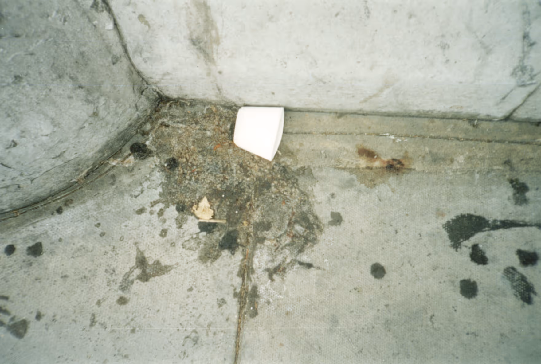 Image from Cups album