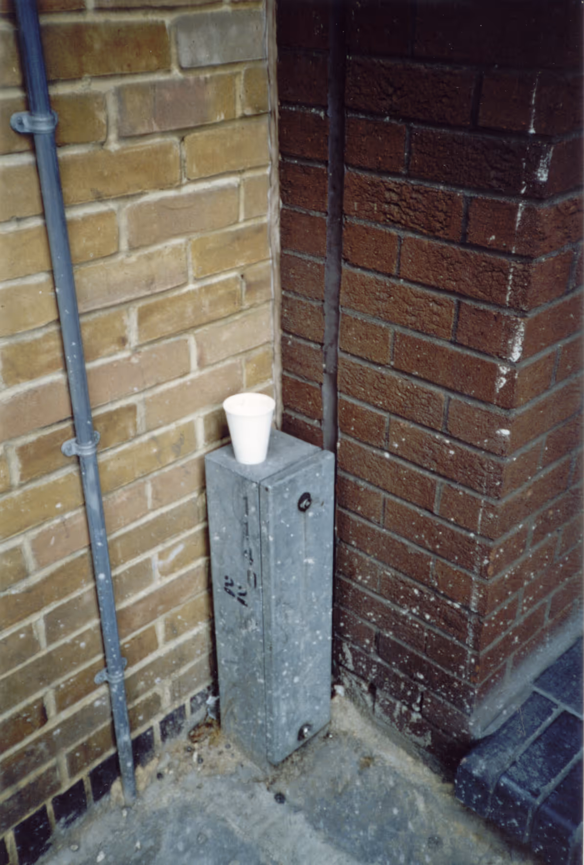 Image from Cups album