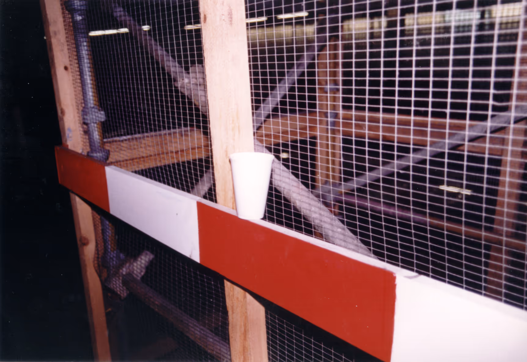 Image from Cups album