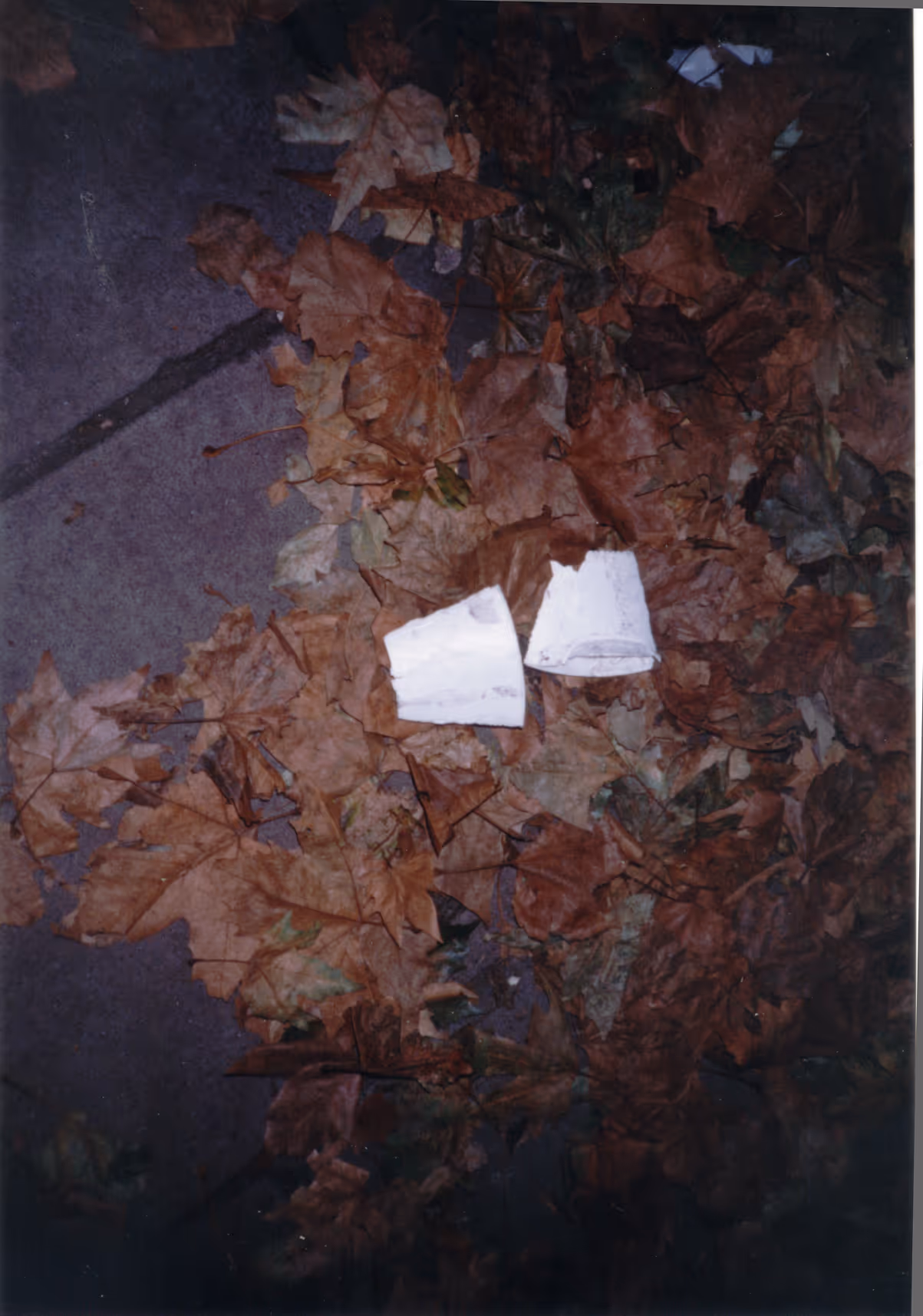 Image from Cups album