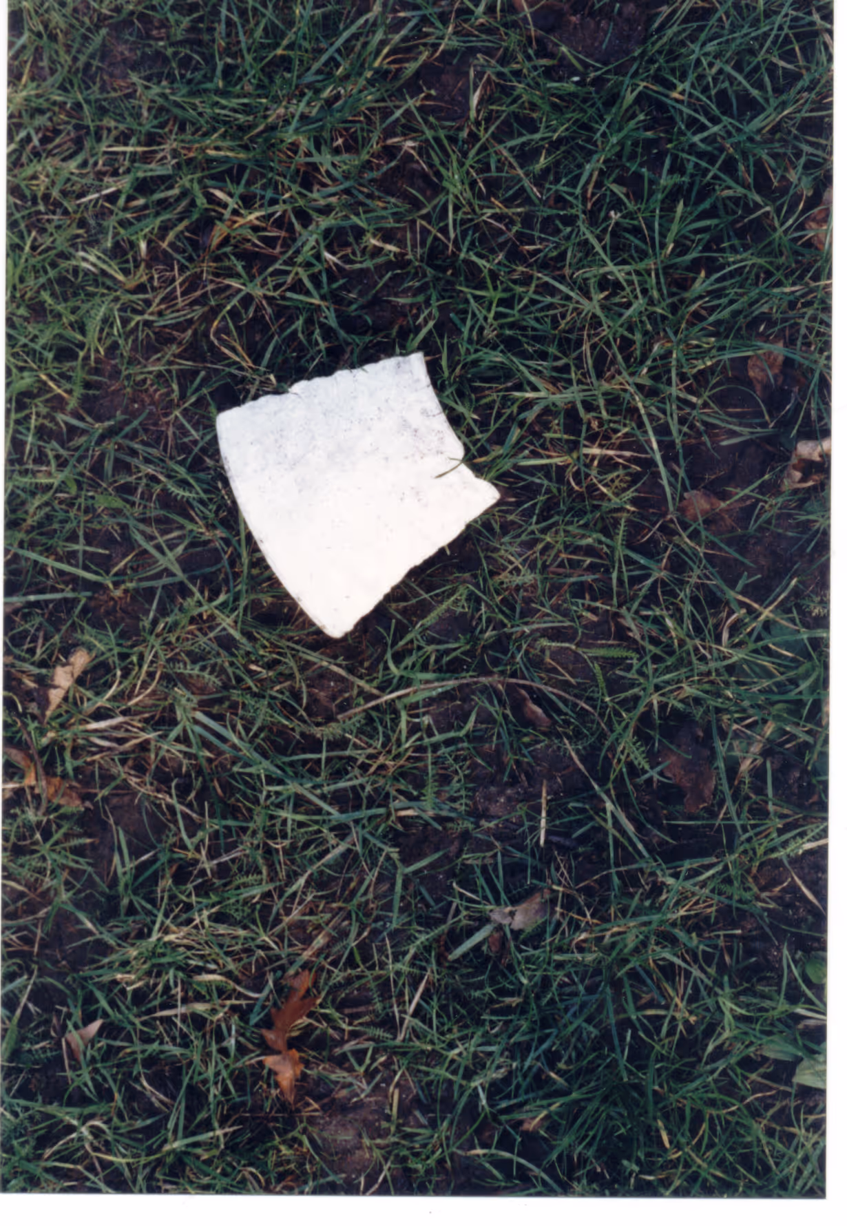 Image from Cups album