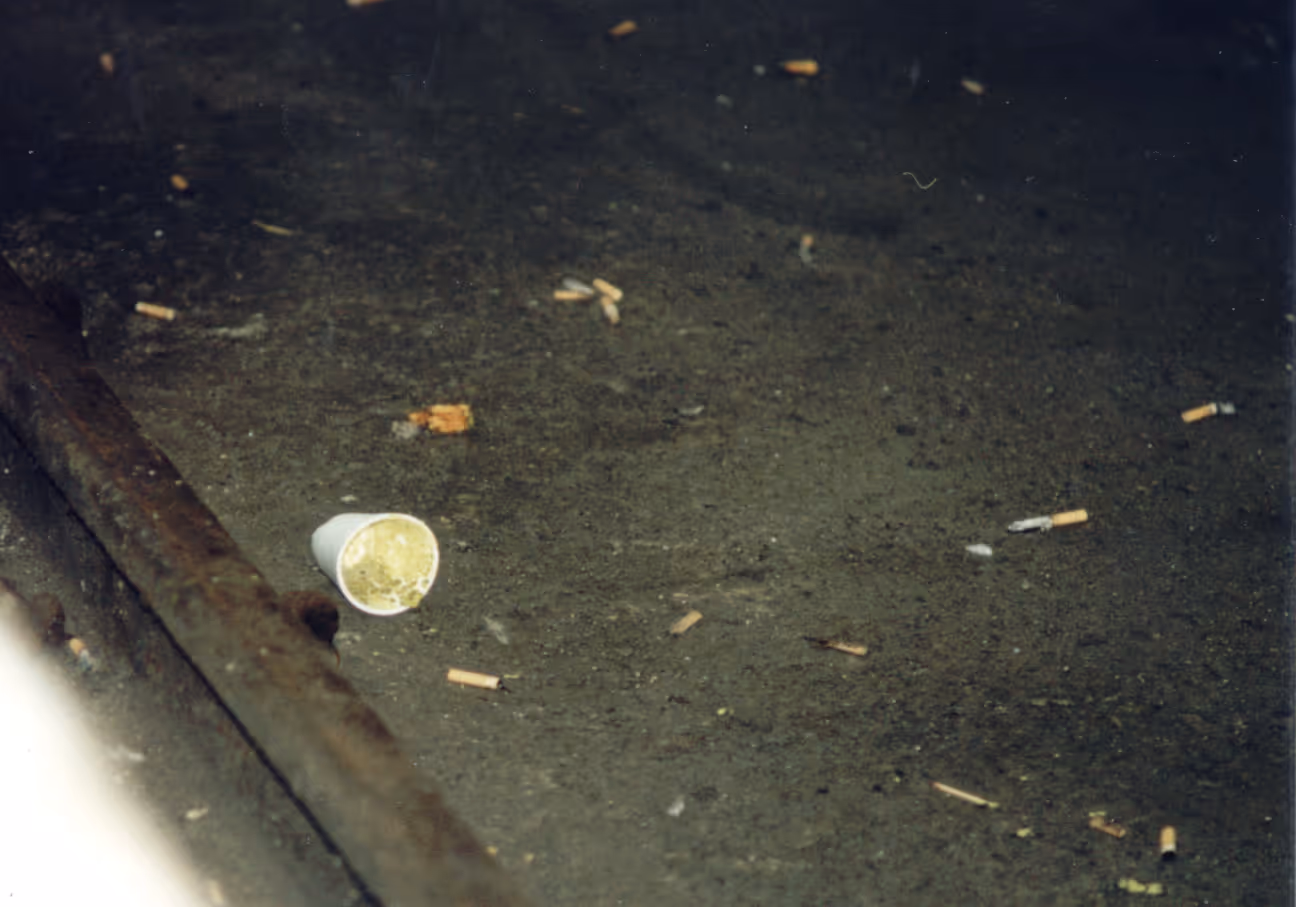 Image from Cups album