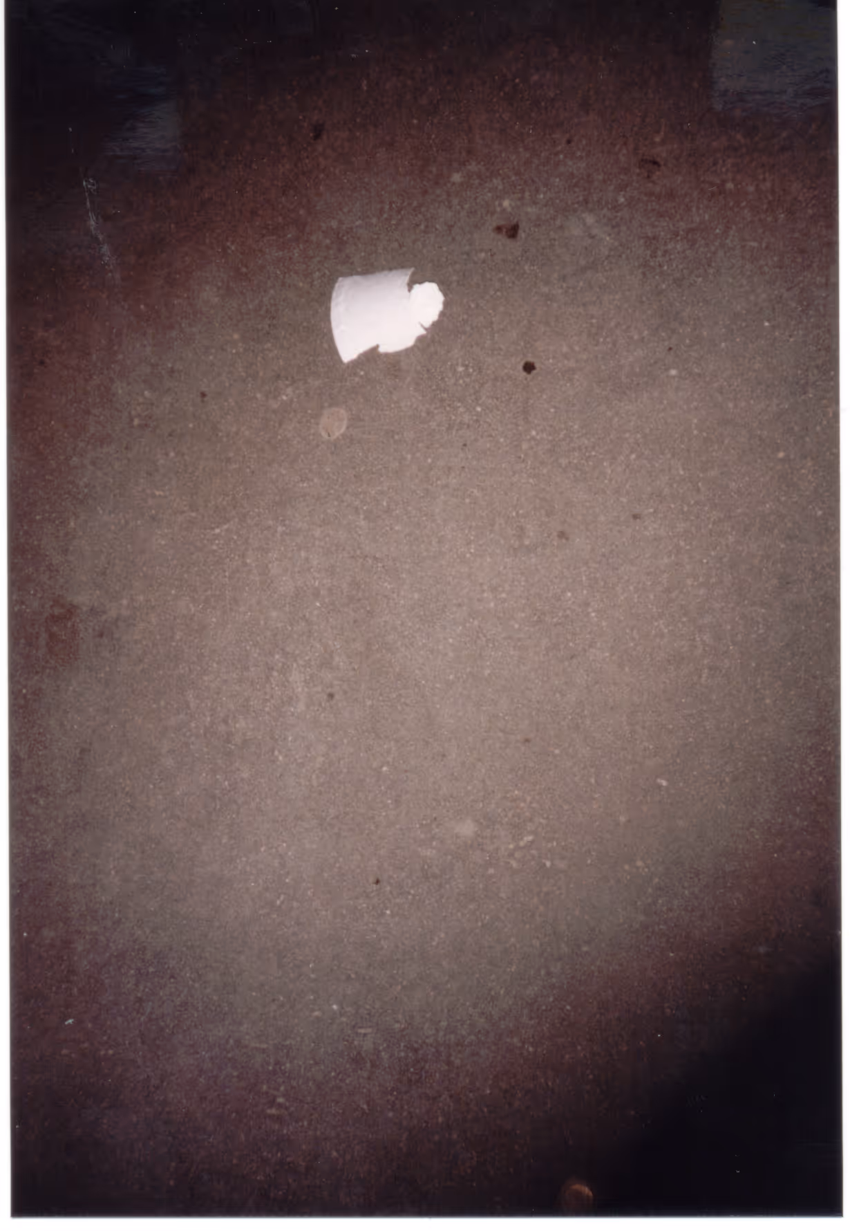 Image from Cups album