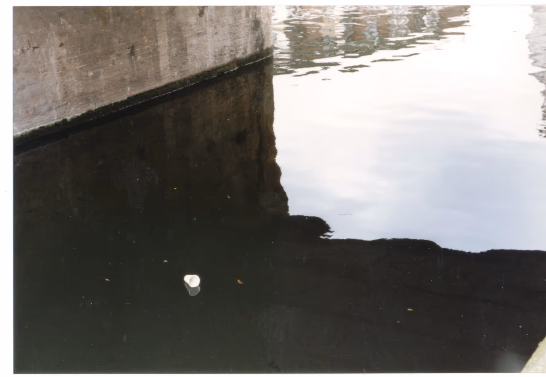 Image from Cups album