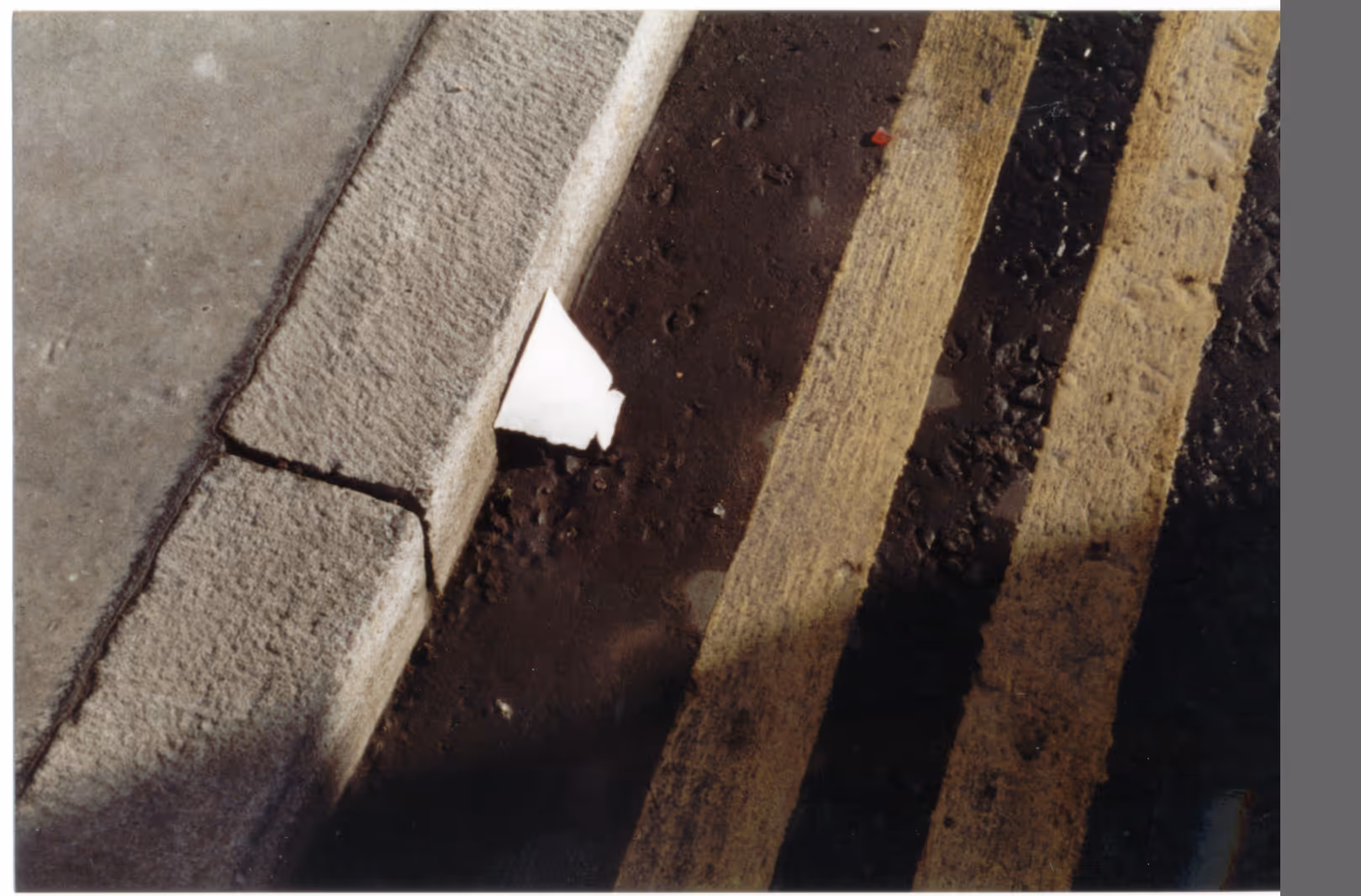 Image from Cups album