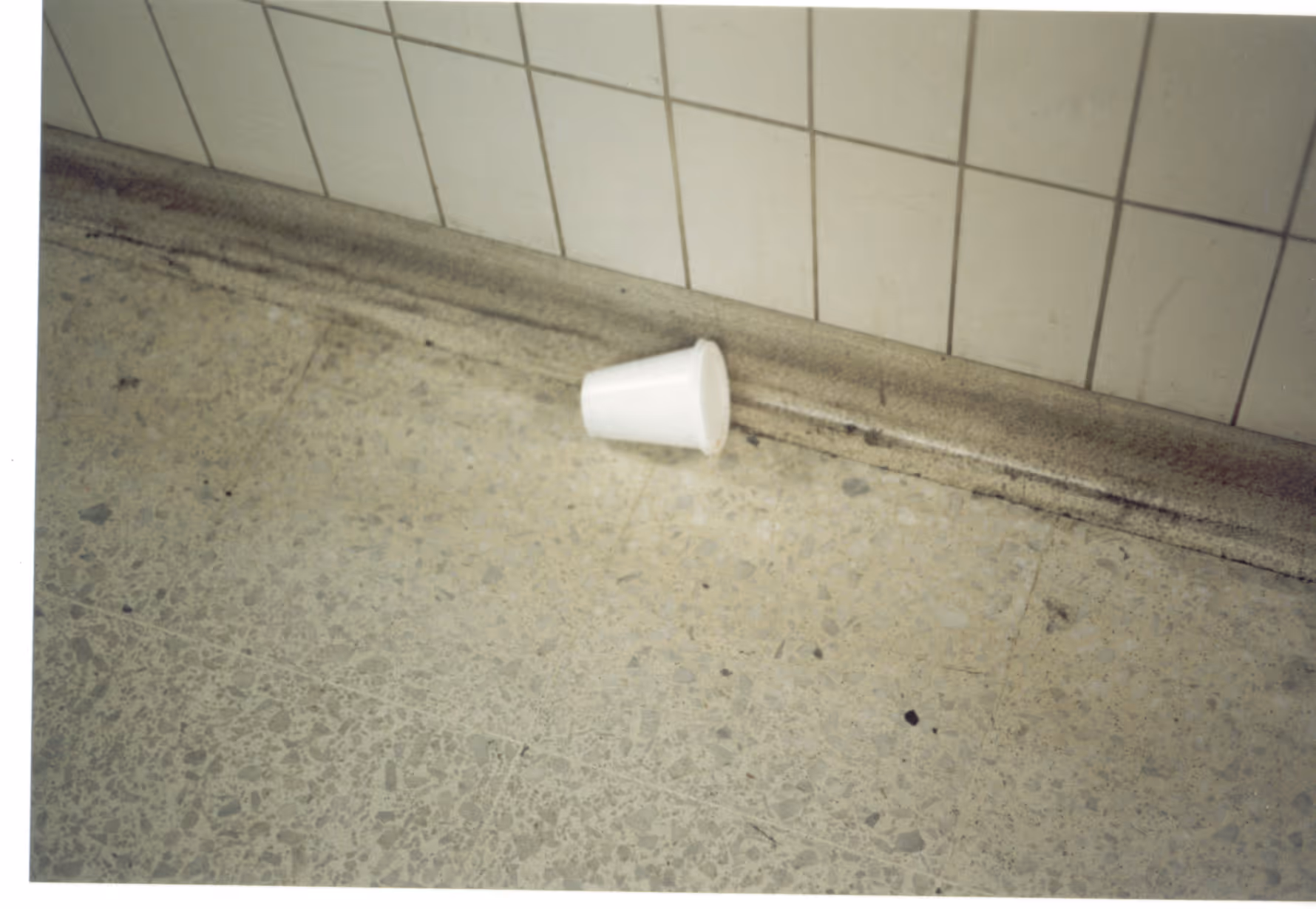 Image from Cups album