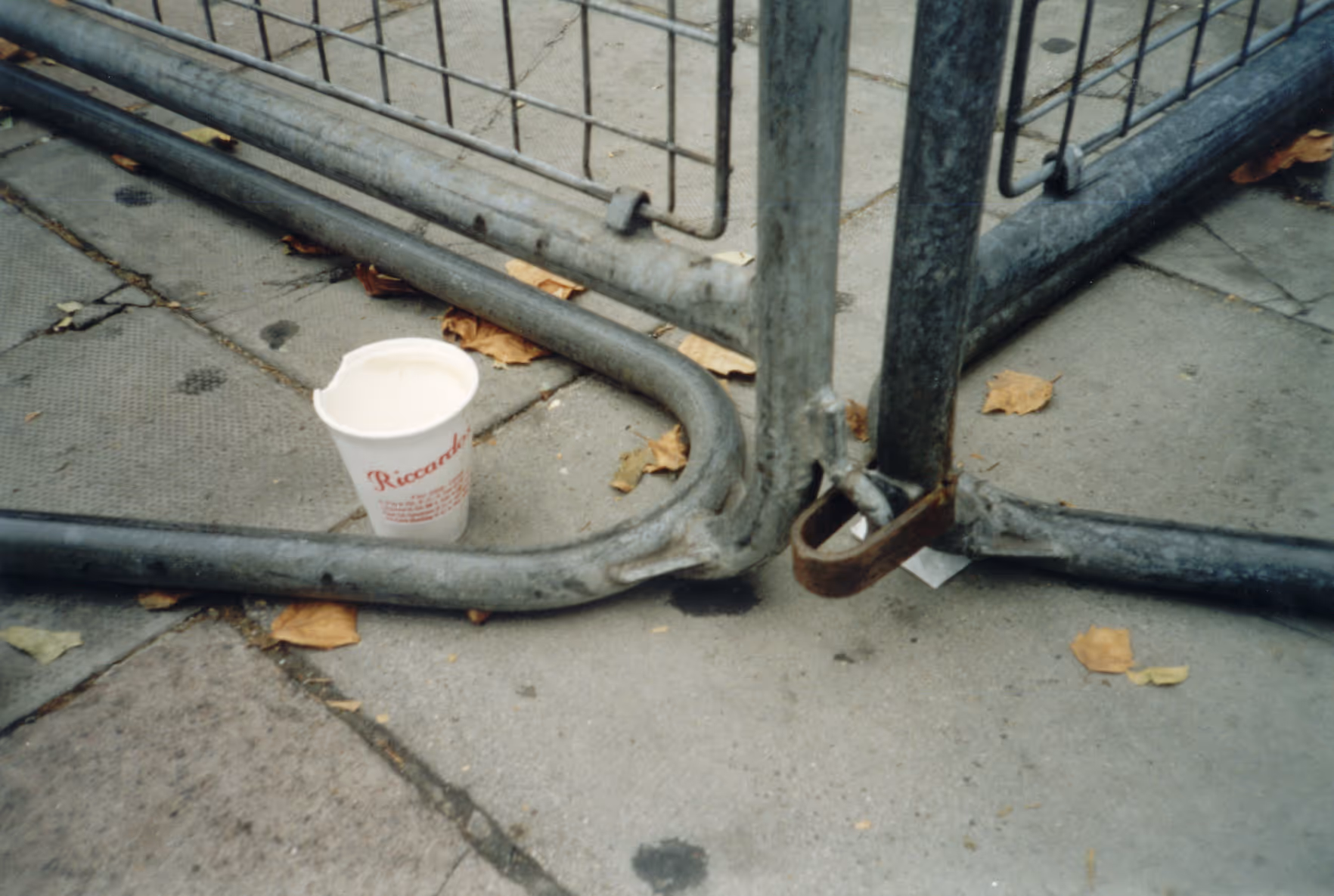 Image from Cups album