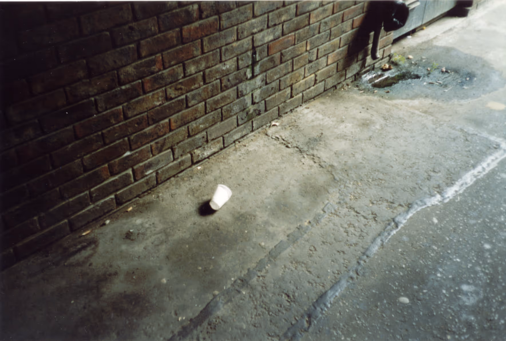 Image from Cups album