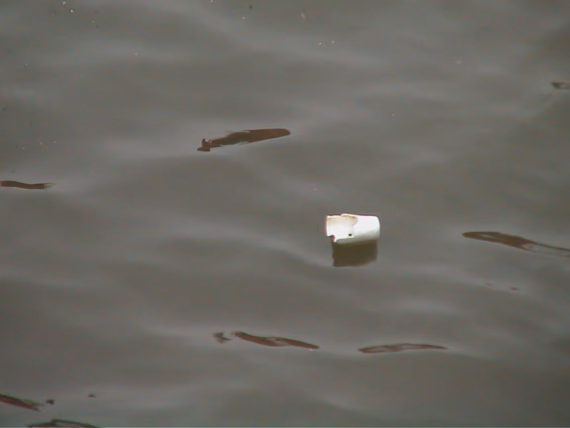 Image from Cups album