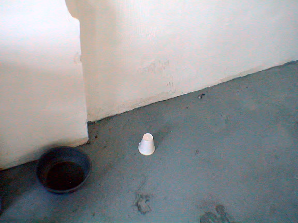 Image from Cups album